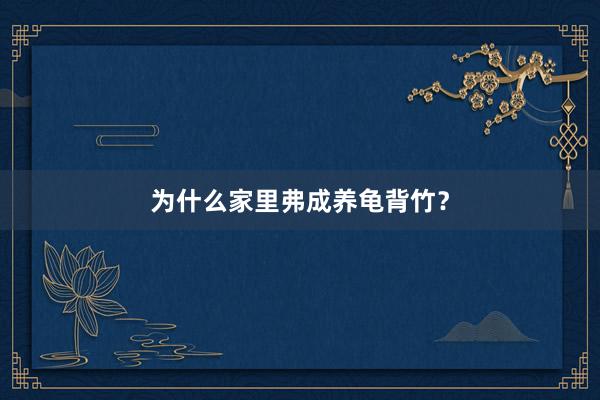 为什么家里弗成养龟背竹？